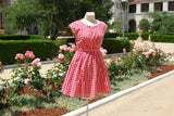 The Picnic Dress